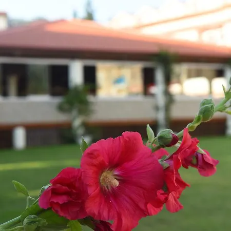 Turquoise - Ölüdeniz